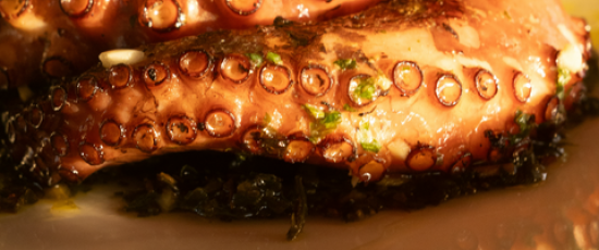 Cucina mediterranea e piacere senza eccessi: perché il pesce è il protagonista dell’estate da Krudo