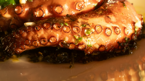 Cucina mediterranea e piacere senza eccessi: perché il pesce è il protagonista dell’estate da Krudo