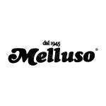 Click to enlarge image melluso.jpg